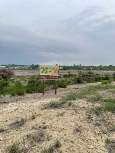 Prairie Dog Meadow Natural Area - Fort Collins, CO