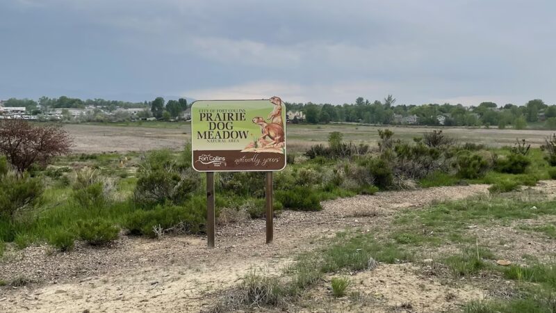 Prairie Dog Meadow Natural Area - Fort Collins, CO