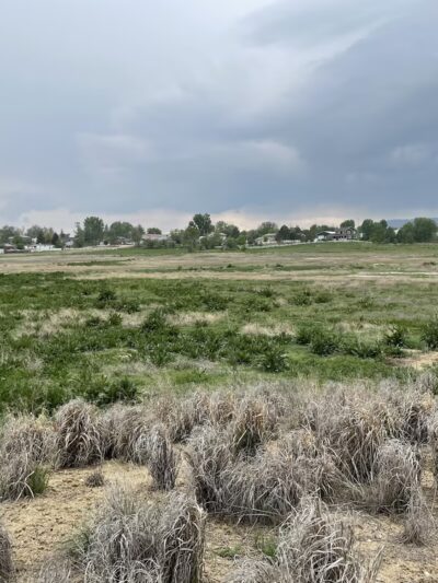 Prairie Dog Meadow Natural Area - Fort Collins, CO