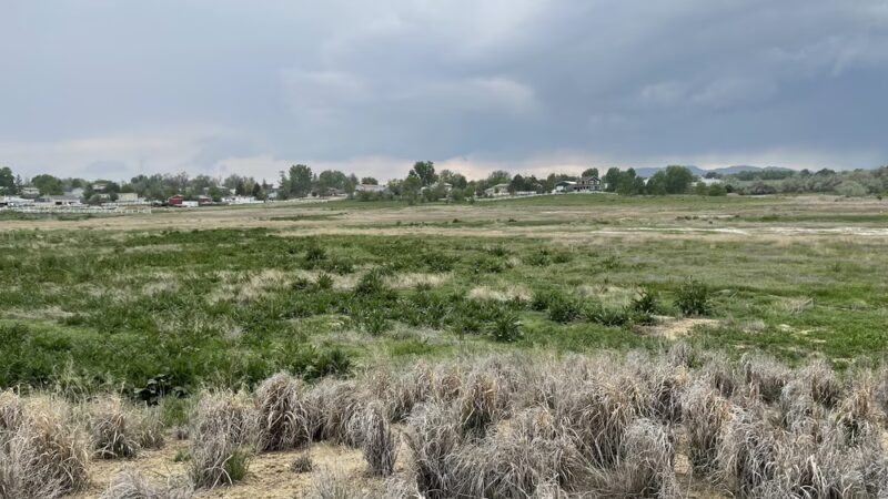 Prairie Dog Meadow Natural Area - Fort Collins, CO