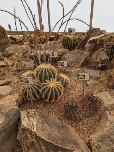 Chihuahuan Desert Outside Loop Trail - Fort Davis, TX