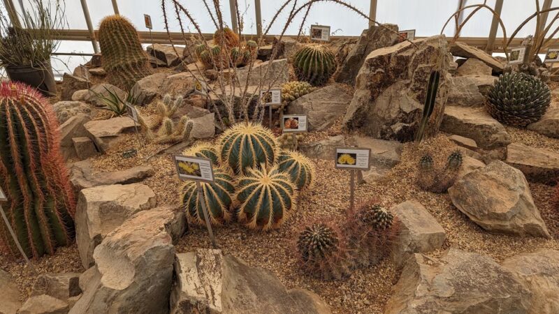 Chihuahuan Desert Outside Loop Trail - Fort Davis, TX