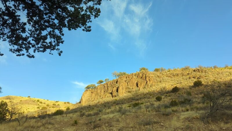 Davis Mountains State Park - Fort Davis, TX