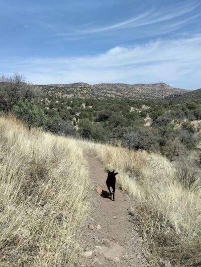 Madera Canyon Trail Parking - Fort Davis, TX