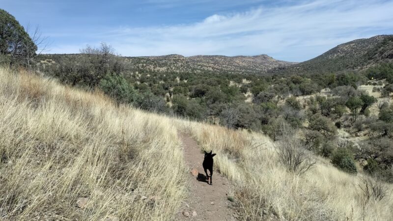 Madera Canyon Trail Parking - Fort Davis, TX