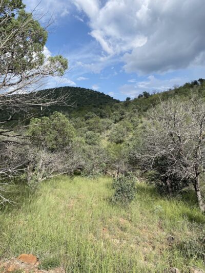 Madera Canyon Trail Parking - Fort Davis, TX