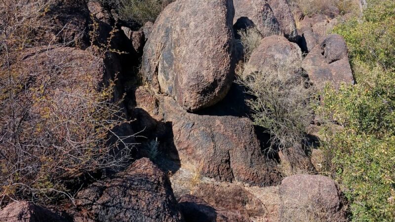 Roadside Picnic Area (North of Fort Davis) - Fort Davis, TX