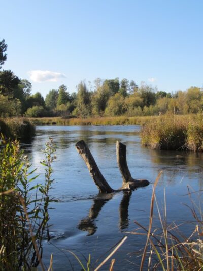 Wood River Day Use - Fort Klamath, OR