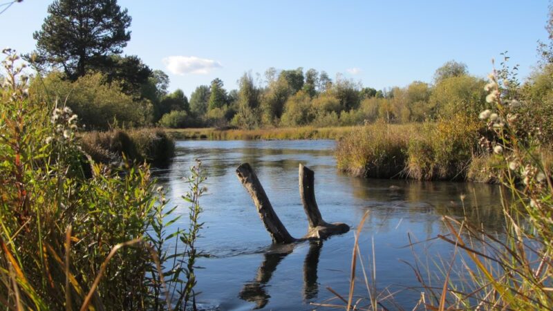 Wood River Day Use - Fort Klamath, OR