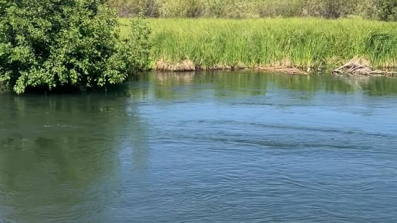 Wood River Day Use - Fort Klamath, OR
