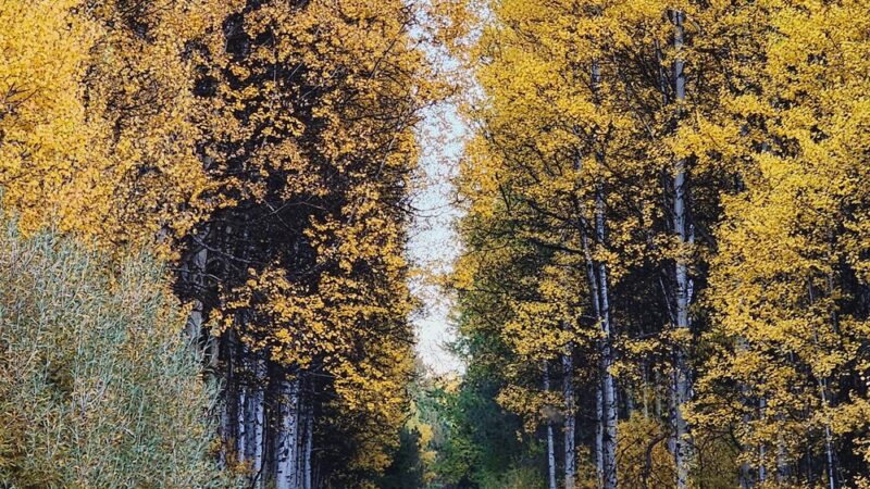 Wood River Day Use - Fort Klamath, OR