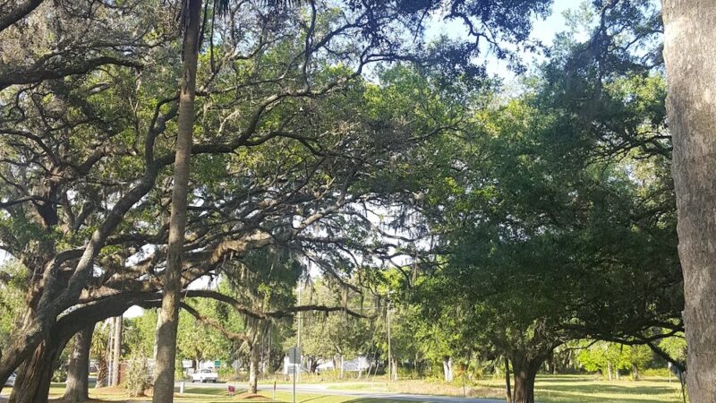 Cougar Community Park - Fort McCoy, FL