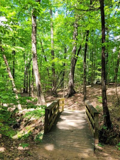 Allison Park - Fort Mill, SC