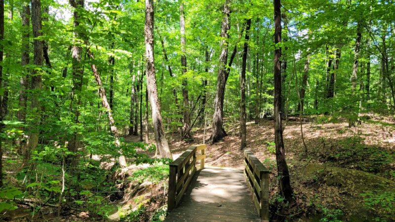 Allison Park - Fort Mill, SC
