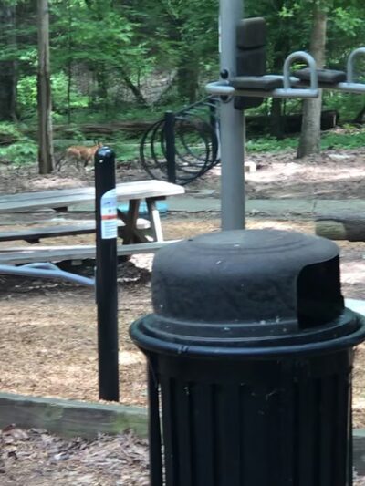Allison Park - Fort Mill, SC