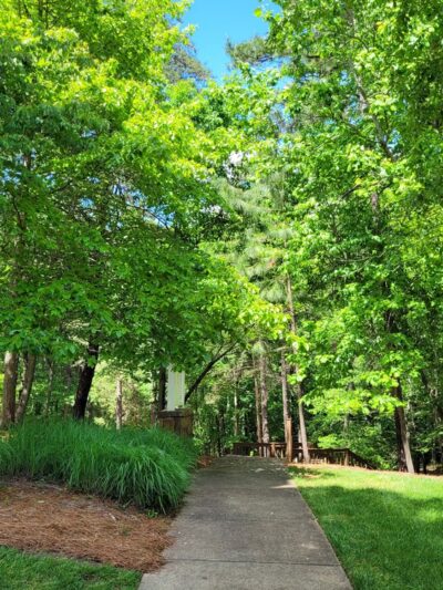 Allison Park - Fort Mill, SC