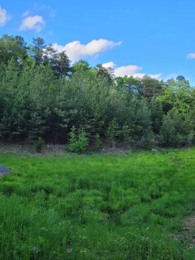 Carolina Thread Trail - Baxter Village - Fort Mill, SC