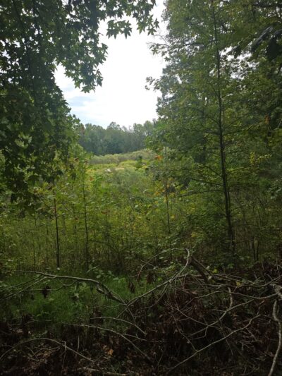 Heritage Blvd Walking/Biking Trails - Fort Mill, SC
