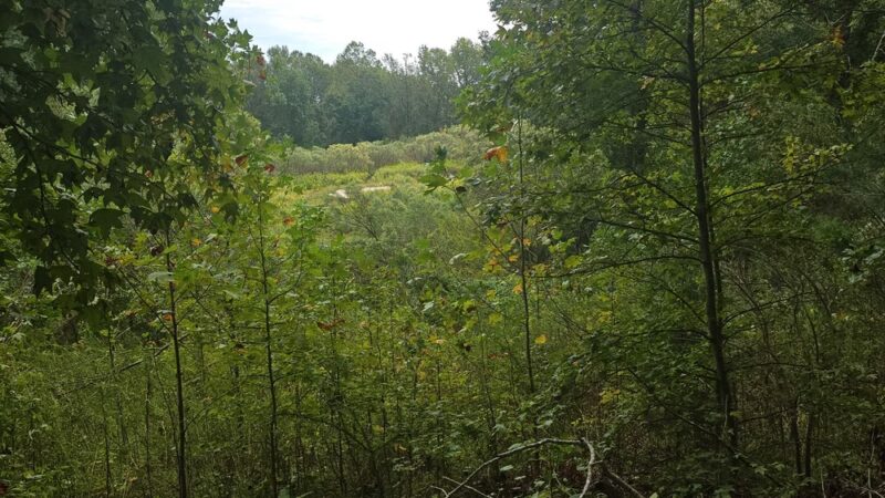 Heritage Blvd Walking/Biking Trails - Fort Mill, SC