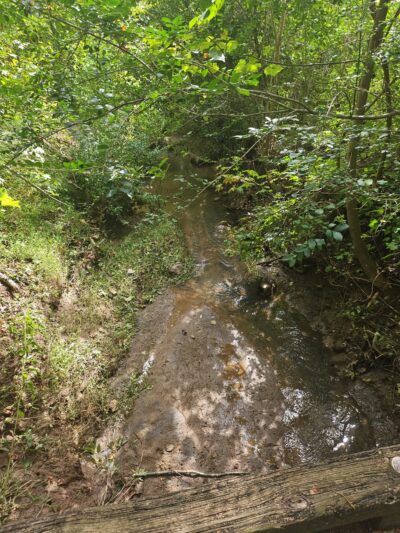 Heritage Blvd Walking/Biking Trails - Fort Mill, SC