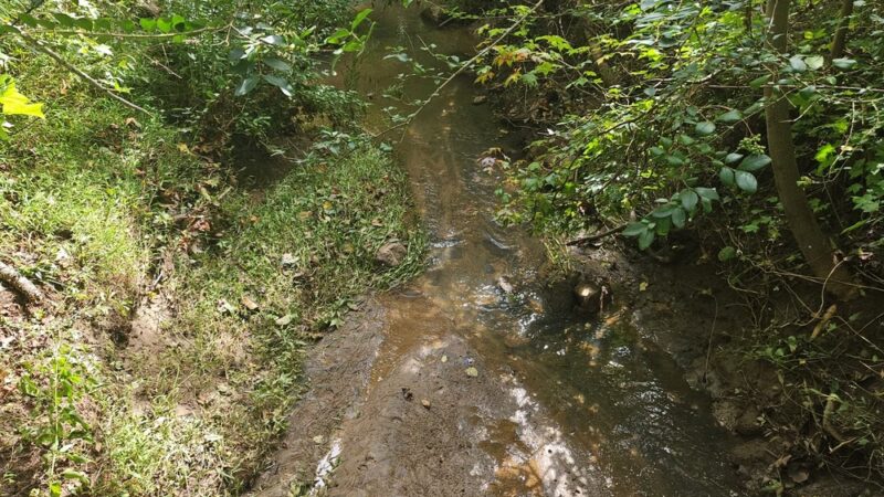 Heritage Blvd Walking/Biking Trails - Fort Mill, SC