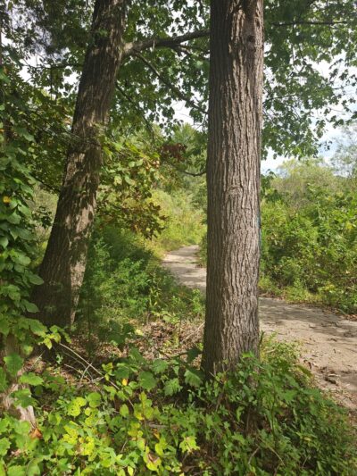 Heritage Blvd Walking/Biking Trails - Fort Mill, SC
