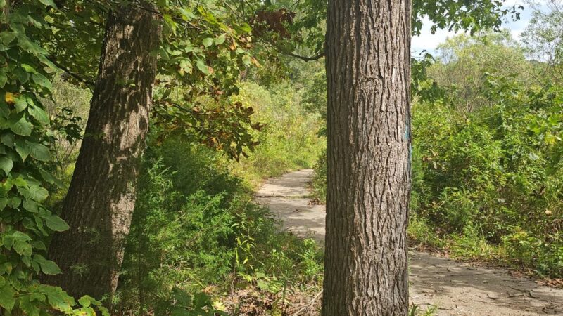 Heritage Blvd Walking/Biking Trails - Fort Mill, SC