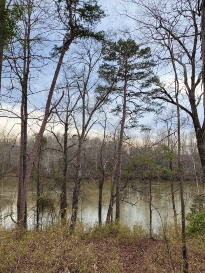 Masons Bend Public Parking and Trail Access - Fort Mill, SC