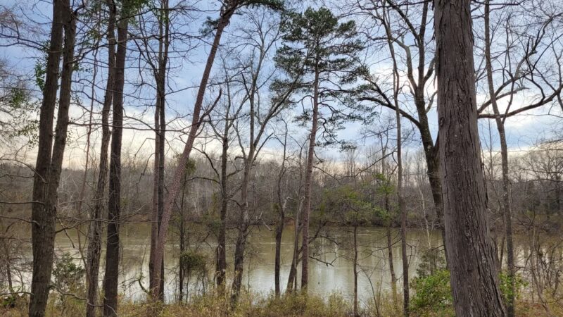 Masons Bend Public Parking and Trail Access - Fort Mill, SC