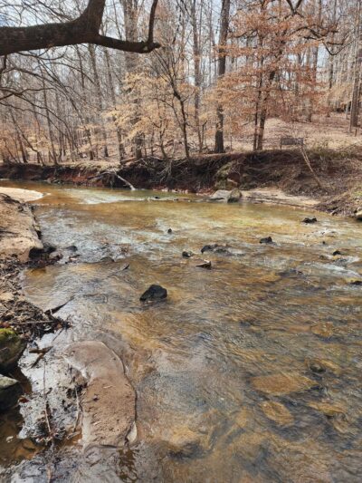 Nature Center at ASC Greenway - Fort Mill, SC