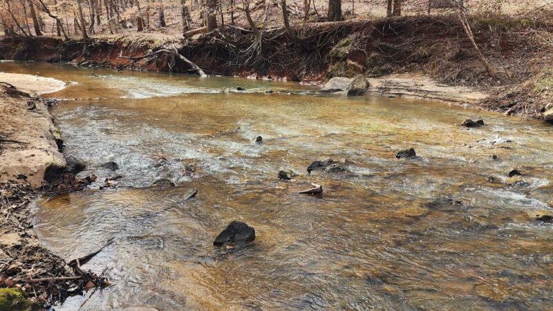 Nature Center at ASC Greenway - Fort Mill, SC
