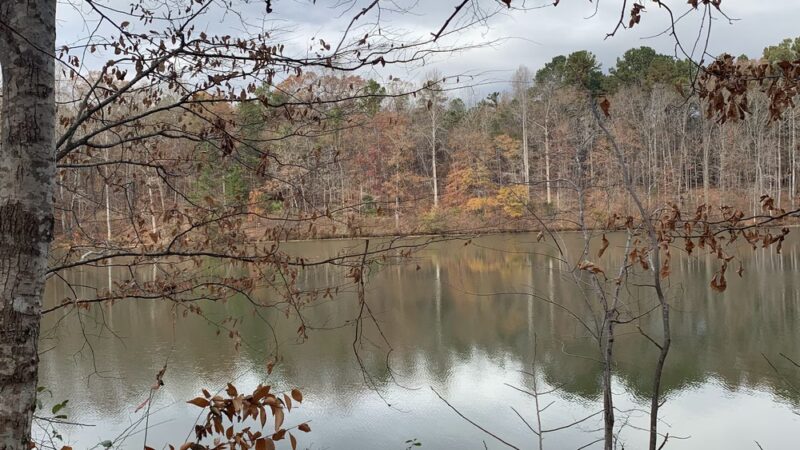 Nature Center at ASC Greenway - Fort Mill, SC