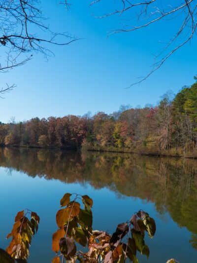 Nature Center at ASC Greenway - Fort Mill, SC