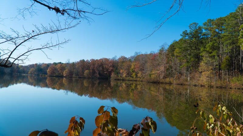 Nature Center at ASC Greenway - Fort Mill, SC