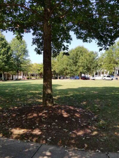 Shady Grove Park - Fort Mill, SC