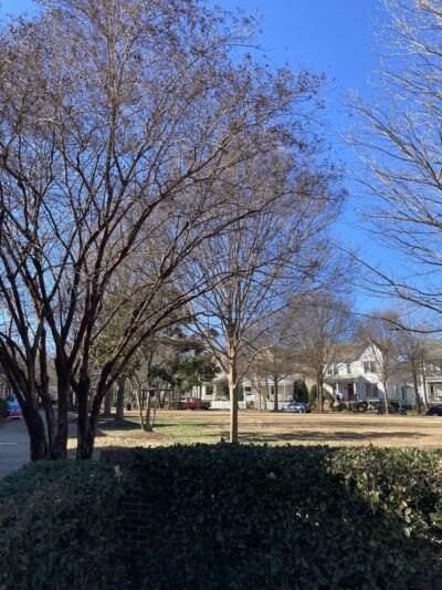 Shady Grove Park - Fort Mill, SC