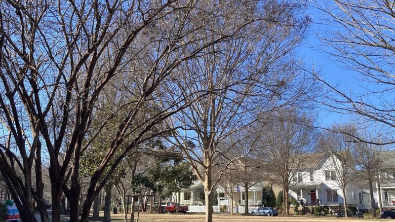 Shady Grove Park - Fort Mill, SC