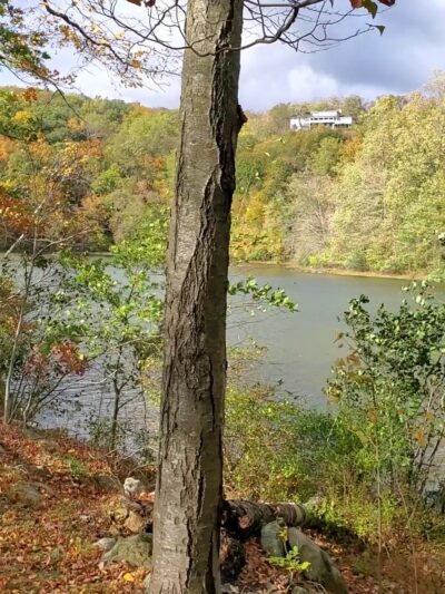 Brooks Lake Parking - Fort Montgomery, NY