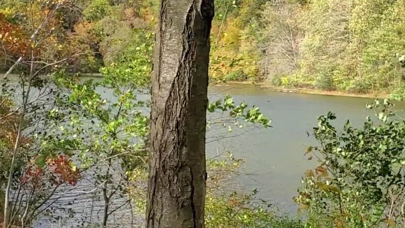 Brooks Lake Parking - Fort Montgomery, NY