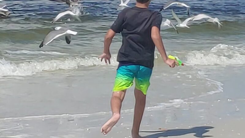 Parking - Fort Myers Beach, FL