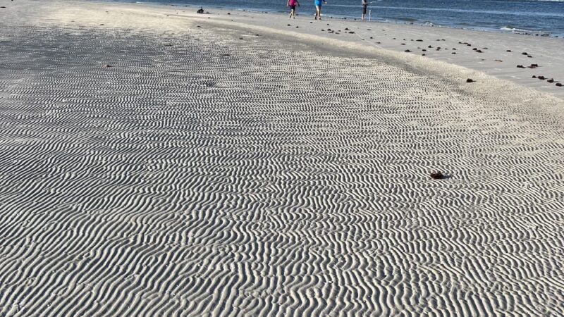 Parking - Fort Myers Beach, FL