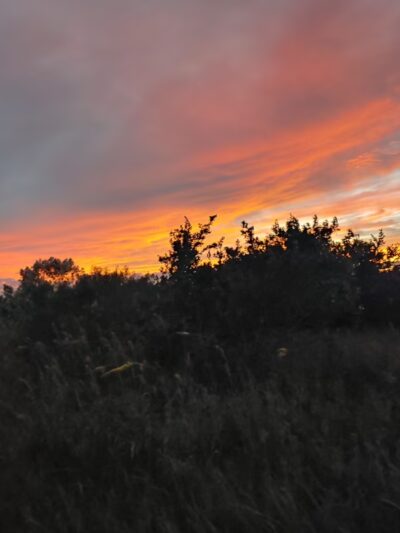 Parking - Fort Myers Beach, FL