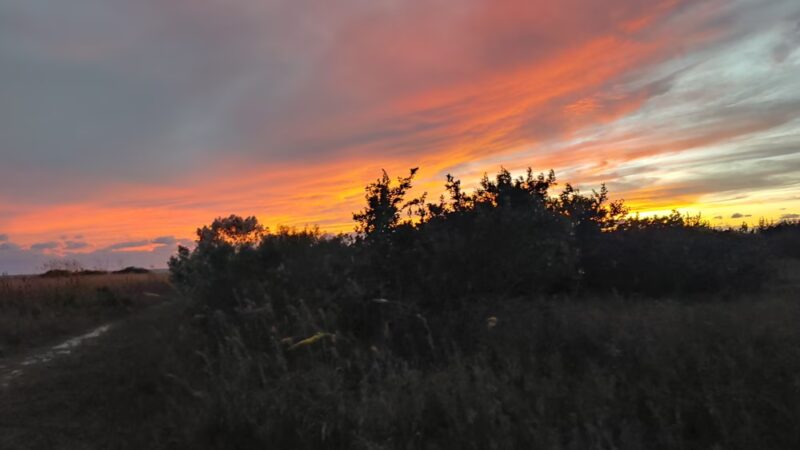 Parking - Fort Myers Beach, FL