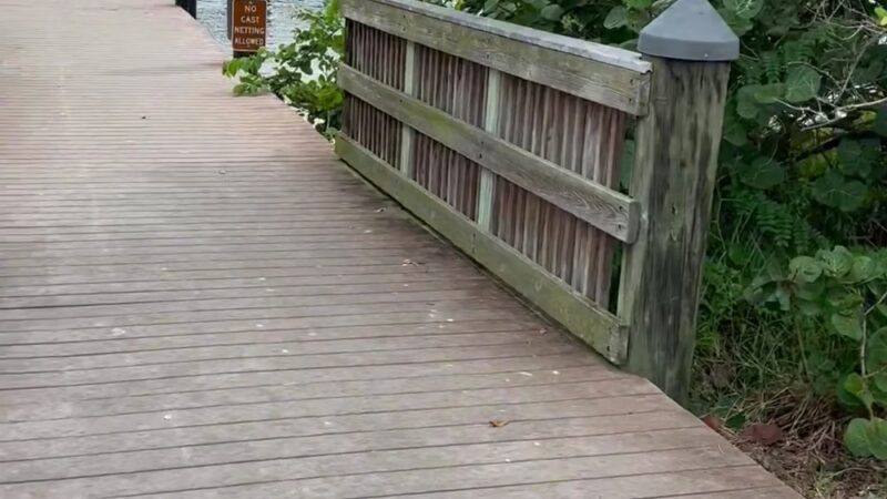 Bowditch Point Park - Fort Myers Beach, FL