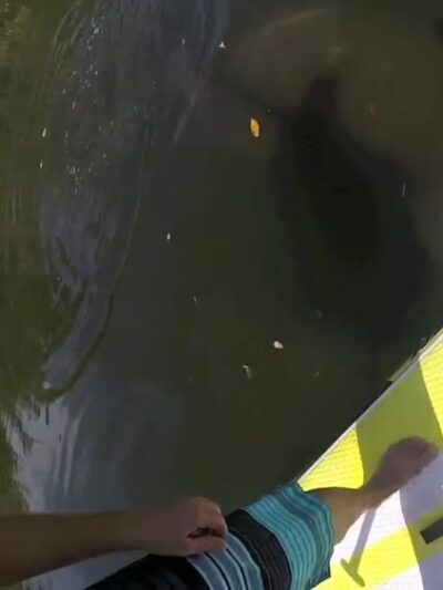 Lovers Key State Park - Fort Myers Beach, FL