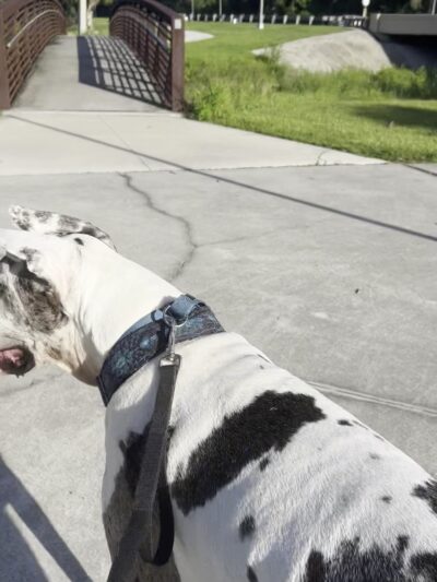 John Yarbrough Linear Park - Fort Myers, FL