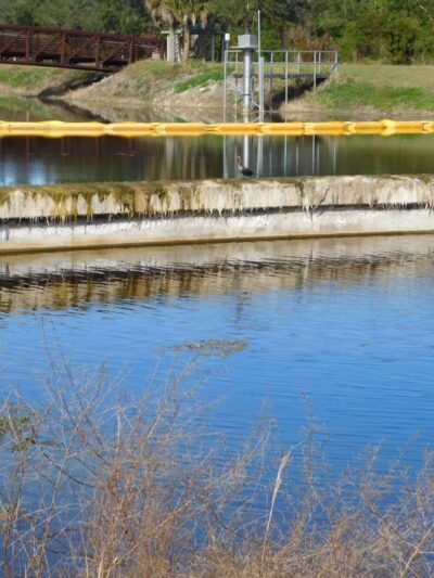 John Yarbrough Linear Park - Fort Myers, FL