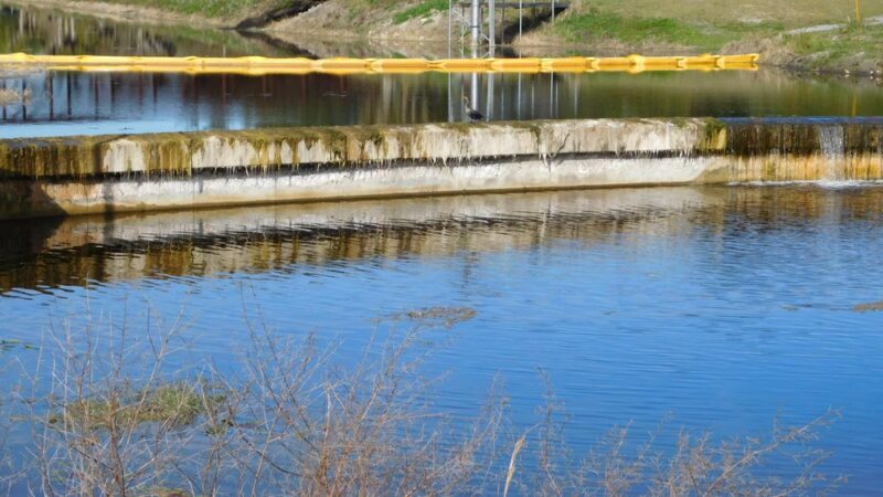 John Yarbrough Linear Park - Fort Myers, FL