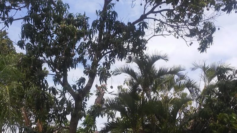 Caloosa Park - Fort Myers, FL