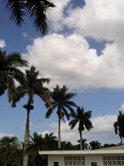 Caloosa Park - Fort Myers, FL